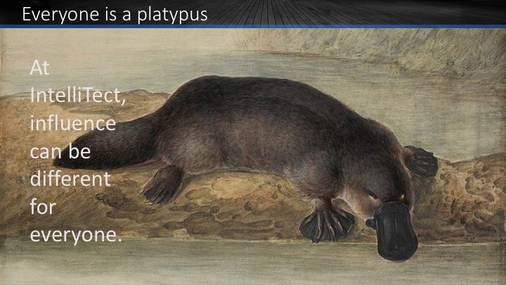 Slide that instigated the platypus awards with a picture of a platypus that says "Everyone is a Platypus"