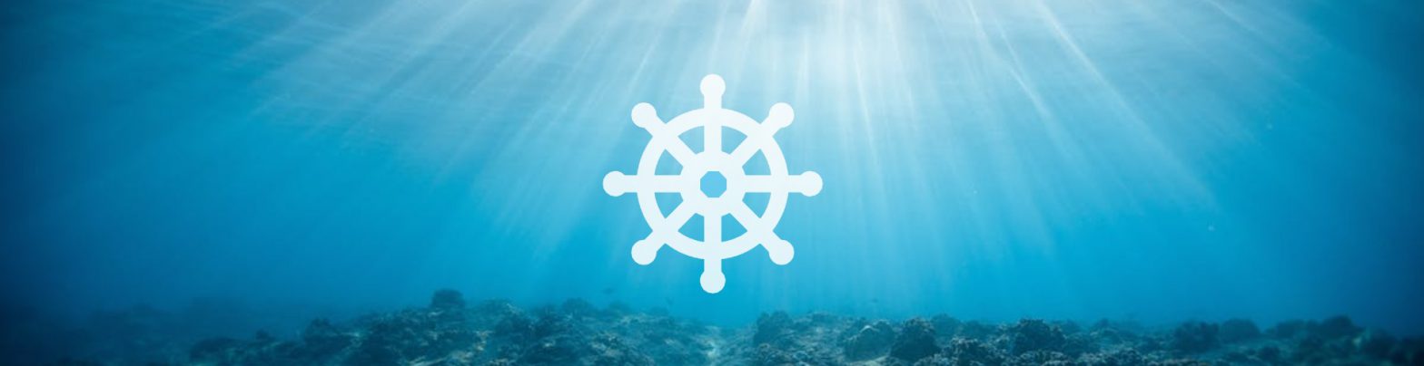 Discover Kubernetes: A Container Orchestration Solution