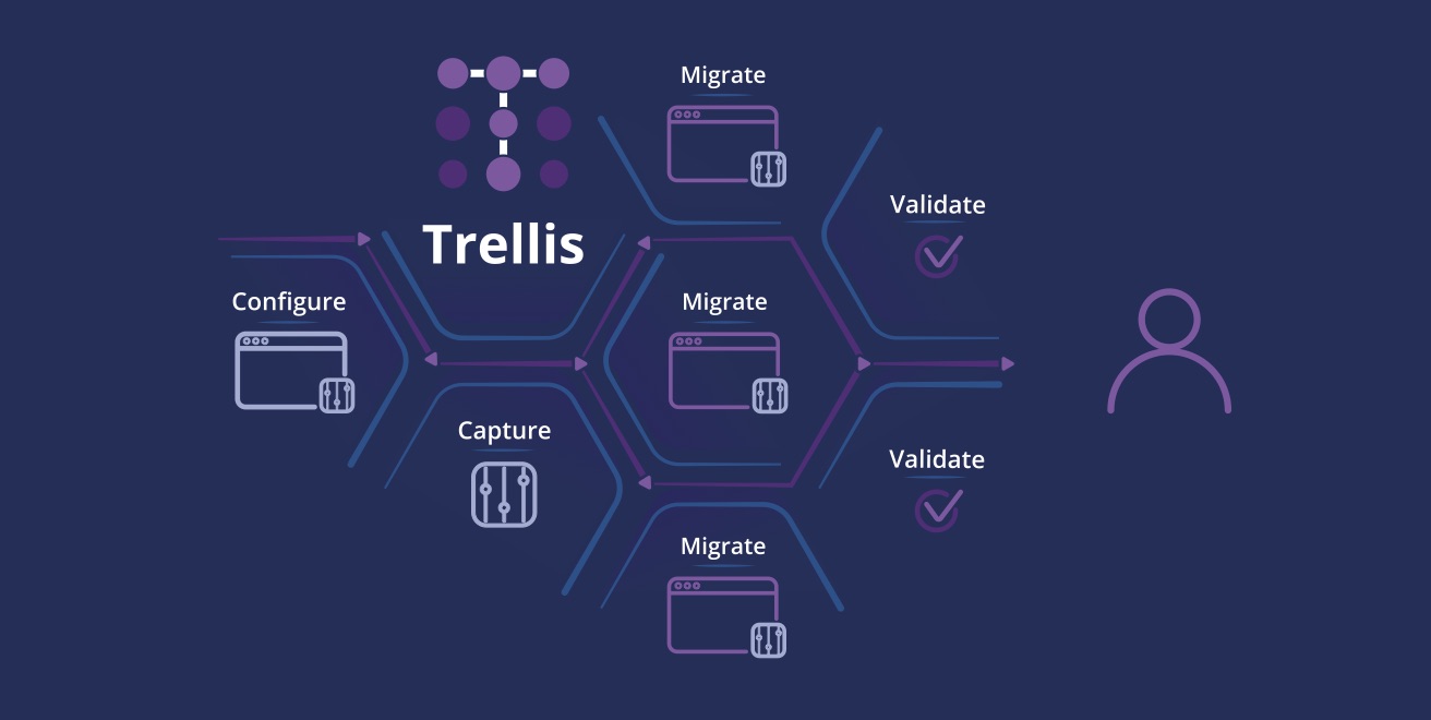 Trellis Database Configuration IntelliTect