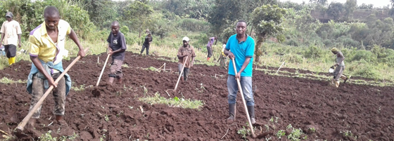Farmers in the Congo are observing social distancing guidelines